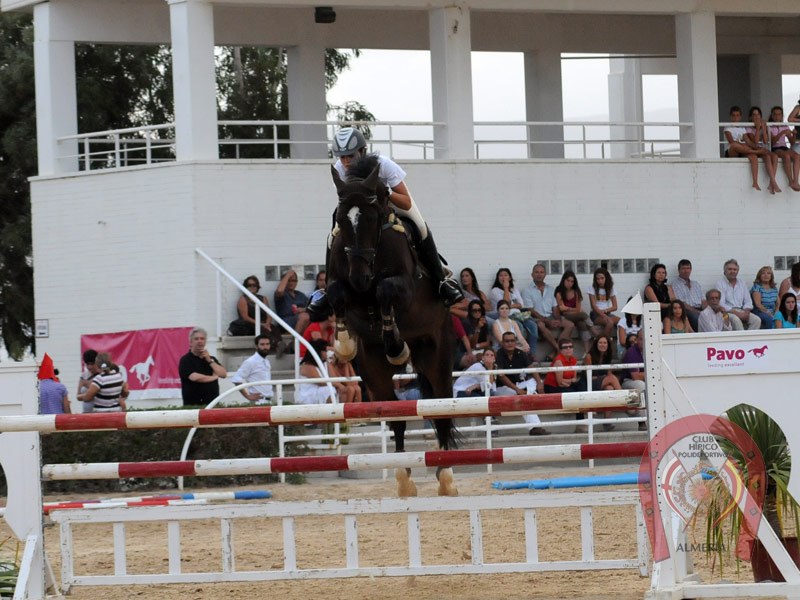 Concurso de salto de obstáculos a caballo